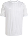 adidas Entrada 26 Graphic Trikot Kinder KB3983 - team light grey/white 116