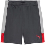 PUMA IndividualLIGA Trainingsshorts Herren 01 - gray echo/dusky gray/puma red XL