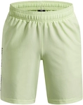 UNDER ARMOUR Woven Shorts Jungen 391 - fade green/black L (149-160 cm)