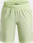 Under Armour 1383341-391, UNDER ARMOUR Woven Shorts Jungen 391 - fade green/black L