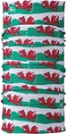 BUFF Original Ecostretch Multifunktionstuch 555 - welsh flag 2010