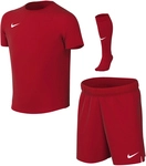 NIKE Park VIII Dri-FIT Trikot Set (Trikot+Shorts+Stutzen) Kleinkinder 657 -