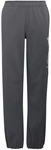 adidas TERREX Minecraft Climawarm Softshellhose Kinder KD8751 - grey five 152