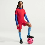 NIKE Park VIII Dri-FIT Trikot Kinder 657 - university red/white L (147-158 cm)