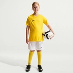 NIKE Park VIII Dri-FIT Trikot Kinder 719 - tour yellow/black L (147-158 cm)