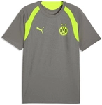 PUMA BVB Borussia Dortmund Trainingsshirt 2026/27 Herren 10 - flat medium gray/yellow