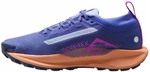 NIKE Pegasus Trail 5 GORE-TEX Trailrunning-Schuhe Damen 503 - sapphire/hyper