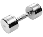 TRENDY SPORT Pesos Chrom Hantel 6 KG