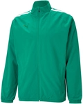PUMA teamLIGA Sideline Pr&auml;sentationsjacke Herren 05 - pepper green/puma white L