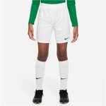 NIKE Park III Dri-FIT Fu&szlig;ball Shorts Kinder 102 - white/pine green XS (122-128 cm)