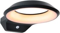 LED Au&szlig;en-Wandleuchte PAULMANN "Anela 230V", grau (anthrazit), B:24,5cm H:7,1cm