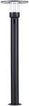 LED Gartenleuchte PAULMANN "Sienna 230V Pollerleuchte", grau (anthrazit), B:21,2cm