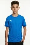 Fu&szlig;balltrikot PUMA "TEAMGOAL MATCHDAY JERSEY JR", Kinder, Gr. 128, blau...