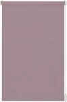 Seitenzugrollo GARDINIA "EASYFIX Rollo Uni" Gr. 5, beige (perlmuttfarben), B:120cm