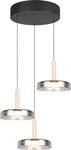 TRIO LEUCHTEN LED Pendelleuchte "CELESTE dimmbare LED H&auml;ngelampe aus Metall Glas &
