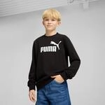 Sweatshirt PUMA "ESS NO 1 LOGO CREW TR B", Jungen, Gr. 176, schwarz (puma...