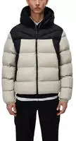 Steppjacke NAPAPIJRI "A-MOLVENO HOOD", Herren, Gr. S, grau (will gray),...