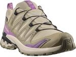 Trailrunningschuh SALOMON "XA PRO 3D V9 GORE-TEX W", Damen, Gr. 40,5, beige (bog,
