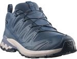 Trailrunningschuh SALOMON "XA PRO 3D V9 GORE-TEX", Herren, Gr. 41, blau (spellbound,
