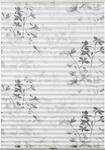 Plissee GARDINIA "Bella mit zwei Bedienschienen", wei&szlig;, B:80cm H:210cm,
