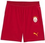 Trainingsshorts PUMA "GSK SHORTS REPLICA" Gr. S, rot (schwarz cherry, summer sunset),