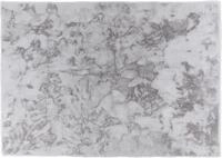 Fellteppich "Tender" Gr. 2, silber (silberfarben), B:80cm H:26mm L:150cm, Kunstfaser,