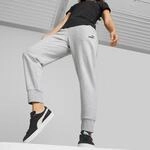 Jogginghose PUMA "ESS SWEATPANTS TR CL", Damen, Gr. XL, N-Gr, grau (light gray