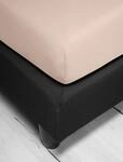 Spannbettlaken IRISETTE "Jupiter 8", beige (creme), L:200cm, Mako-Jersey,
