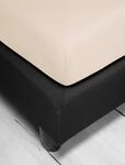 Spannbettlaken IRISETTE "Jupiter 8", beige (natur), L:200cm, Mako-Jersey,