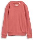 TOM TAILOR Jungen Basic Sweatshirt mit Print, rot, Uni, Gr. 152