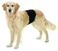 fehlt R&uuml;denbinde Gentleman Wrap Plus schwarz, Gr. XS, Breite: ca. 10 cm,