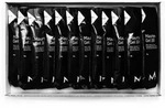 MAURTEN Energiegel Gel 100 40g | 12 Beutel Box