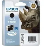 Epson T1001 (C13T10014010) Druckerpatrone &ndash; black &ndash; Originalprodukt