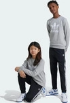 Adidas Originals IX7630/140, Adidas Originals Adicolor Sst Pants Grau 9-10 Years