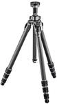 Gitzo GT2542 Mountaineer Stativ