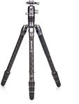 Benro Rhino Series Carbon Faser FRHN24C + VX25 Stativkit