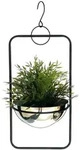 Blumenampel Innen Metall Wand H&auml;ngepflanzen 54 Cm 96083 M Mit Topf Silber