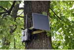 Technaxx - 4g Wildkamera Tx-189 + Solar Panel