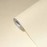 A.s. Cr&eacute;ation Unitapete Beige 10.05 M X 0.53 M Ansatzfrei Vlies 