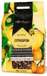 Zubeh&ouml;r Citruspon F&uuml;r Alle Zitruspflanzen 12 Liter - Lechuza