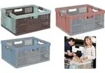 Klappbox 'profi Lea'