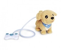 Chi Chi Liebt Hunde. Loomy Golden Retriever.