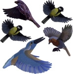 Gardigo - Vogelsilhouette Heimische V&ouml;gel Bunt 5 Teilig