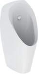 Geberit Urinal Tamina F&uuml;r Unterputzurinalsteuerung