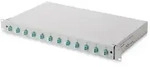 Digitus - Box De Splei&szlig;en Lwl 12 Lc-kupplungen - Om3- 1he 19 Zoll - Multimode Duplex