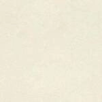 Rasch - Factory V 315103 Vliestapete Uni 10.05 X 0.53 M Wei&szlig; Offwhite Diele Flur