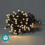 Smartlife Weihnachtsbeleuchtung String Wi Fi Warmwei 50 Leds 500 M Android Ios