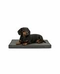 Lionto Hundematte Orthop&auml;disch, Druckentlastende Memory-foam Liegefl&auml;che,