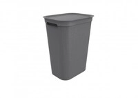 Rotho Brisen - Collector De Waschen De 50 L Mit Deckel Y 2 Griffe, Kunststoff (pp)