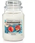 Yankee Candle - Duftkerze Gro&szlig;es Glas Pomegranate Coconut 538 G Kerze Duft Kerze